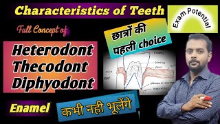 characteristics of teeth  full concept of teeth  Heterodont Thecodont Diphyodont  Enamel  दाँत [upl. by Lukas]