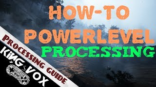 Black Desert Online  PowerLeveling Processing [upl. by Restivo65]