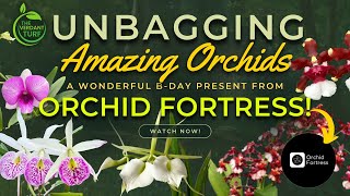 Late Upload Unbagging Orchid Gifts from Orchidfortress [upl. by Yruj]