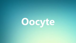 Oocyte  Medical Meaning and Pronunciation [upl. by Mathe]