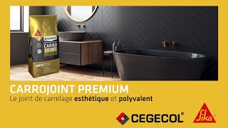 Découvrez Carrojoint Premium nouveau joint de carrelage esthétique et performant [upl. by Seda846]