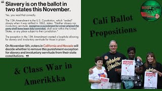 Rootwork CA Elections and Class War in Amerikkka [upl. by Eveiveneg886]