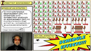 Intermittent Schedules of Reinforcement Functional Analysis of Behavior 1 [upl. by Sedgewake]