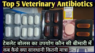 Top 5 Veterinary Antibiotics TabletBolusकौन सी बीमारियों में कब कैसेकितनी मात्रा मे दे [upl. by Mairym]