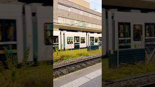 Wallisellen Train Station Zurich 🇨🇭travel ytshorts abba [upl. by Anahgem286]