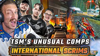 TSM Cooking up the Funniest Comps to Try 😂  International Scrims  The NiceWigg Watch Party [upl. by Miyasawa]