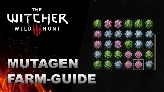 WITCHER 3 Mutagen FarmGuide rot grün blau [upl. by Westerfield]