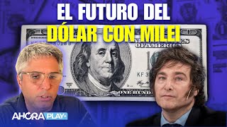 La clave que anunció Milei para el dólar en los próximos 3 meses  Maxi Montenegro y Martín Rapetti [upl. by Atterrol]