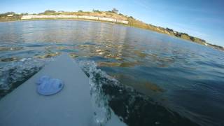 Great White Shark Encounter Surfing in Santa Cruz CA [upl. by Ajiat]