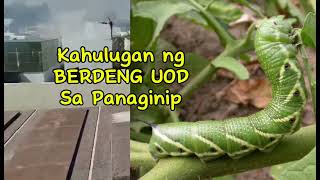 KAHULUGAN NG BERDENG UOD SA PANAGINIP [upl. by Cassella]