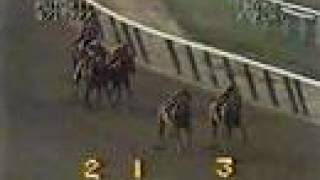 Affirmed vs Alydar  1977 Futurity Stakes 4th Meeting [upl. by Aleekahs]