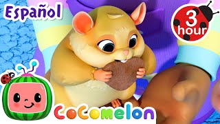 ¡Cuidado de Mascotas  CoComelon y los animales 🍉 Dibujos animados para niños [upl. by Pearlstein282]