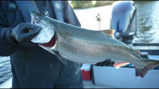 First Light Salmon at Nehalem Oregon [upl. by Demahum]