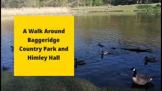 A Walk Around Baggeridge Country Park and Himley Hall [upl. by Ebby]