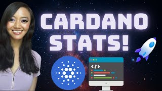 Latest Cardano Stats [upl. by Annayat]