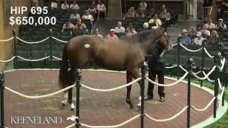 Hip 695 Gun Runner  Always Carina sells for 105 million at 2024 Keeneland September [upl. by Yort]