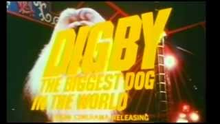 DIGBY THE BIGGEST DOG IN THE WORLD 1973 TV Spot [upl. by Nickola433]