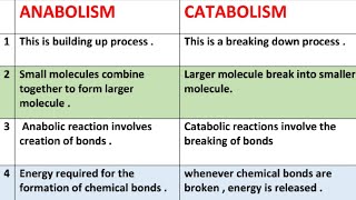 Difference between anabolism and catabolism  anabolism vs catabolism [upl. by Malamud]