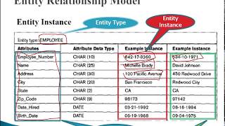 Entity Relationship Model 01 Entity [upl. by Eibocaj223]