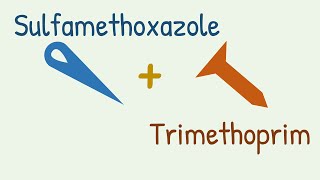 Sulfamethoxazole  Trimethoprim  Cotrimoxazole [upl. by Elocon807]