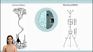 Neuronas biológicas vs artificiales 🧠 [upl. by Ahtanoj627]