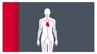 What is atrial fibrillation [upl. by Leighland585]