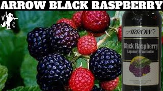 Arrow Black Raspberry Liqueur Framboise Review [upl. by Boarer729]