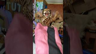 Main sama macan funnyvideo [upl. by Lien]