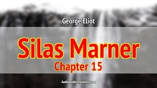 Silas Marner Audiobook Chapter 15 with subtitles [upl. by Seedman200]