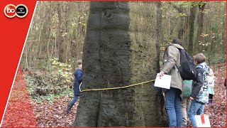 Honderden kinderen doen mee aan het Herfstnatuurspel in Noordwijk [upl. by Arolf854]