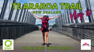 600 km DONE Hello AUCKLAND Packing Woes and Navigational Challenges on the Te Araroa  Vlog 1022 [upl. by Halet191]