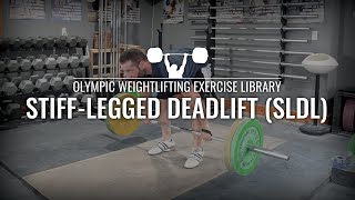 StiffLegged Deadlift SLDL  Olympic Weightlifting Exercise Library [upl. by Adolph]