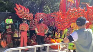 Lion dance and dragon dance in Bendigo Easter ￼ [upl. by Gowrie316]