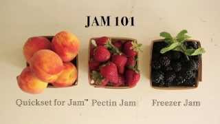 Jam 101 Redpath Quickset Freezer and Pectin [upl. by Bihas]