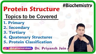 Protein Structure Primary Secondary Tertiary Quatenary Structures and Protein classification [upl. by Naujej]