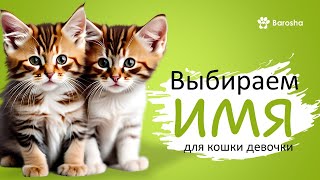 Выбираем ИМЕНА для кошки девочки [upl. by Asilad]