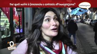 Opinioni  Immigrazione le interviste a Catanzaro [upl. by Otanod209]