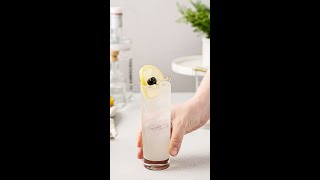 Tom Collins a refreshing classic gin cocktail with lemon juice and seltzer [upl. by Ahsienahs]