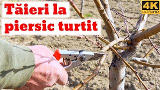 Taieri la piersic turtit fructe turtite [upl. by Shadow]