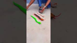 Remote Control Kankhajura and RC Snake rcsnake [upl. by Alpheus]