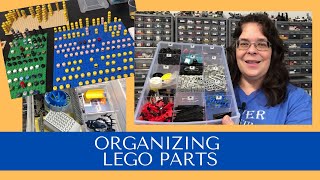 My Bricklink Store  Ep 31 How I Organize My Lego Parts [upl. by Mezoff]