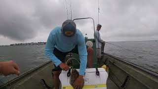 Flounder pounder 2023 Delaware [upl. by Drus]