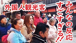 【リアルな海外の反応】外国人観光客の感激がすごすぎる！舞妓さんに会えて素晴らしい日本の旅が完結！ [upl. by Bushore551]