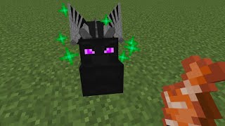 Tame ender dragon in Minecraft  Tame ender dragon mcpe  Minecraft mount dragon mod  minecraft mod [upl. by Aikit771]