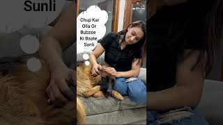 tum sabse acha apna muh bana leti ho funny comedy talkinganimal [upl. by Dalpe]