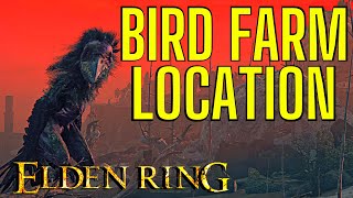 ELDEN RING BIRD RUNE FARMEXPLOIT 11K EVERY 20 SECONDS [upl. by Anyotal116]