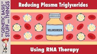 Volanesorsen A novel treatment for high triglyceride levels [upl. by Atikam42]