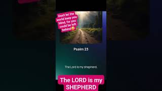 PSALMS 23  THE LORD IS MY SHEPHERD trustingod5153 shortvideo GOD JESUS love shorts [upl. by Derriey619]