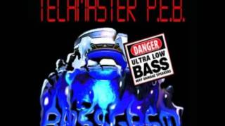 Techmaster PEB  Electronic Power [upl. by Atikcir]