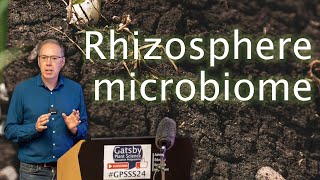 Uncovering the secret world of the rhizosphere microbiome the plant’s 2nd genome🧫 Prof Gary Bending [upl. by Adikram]